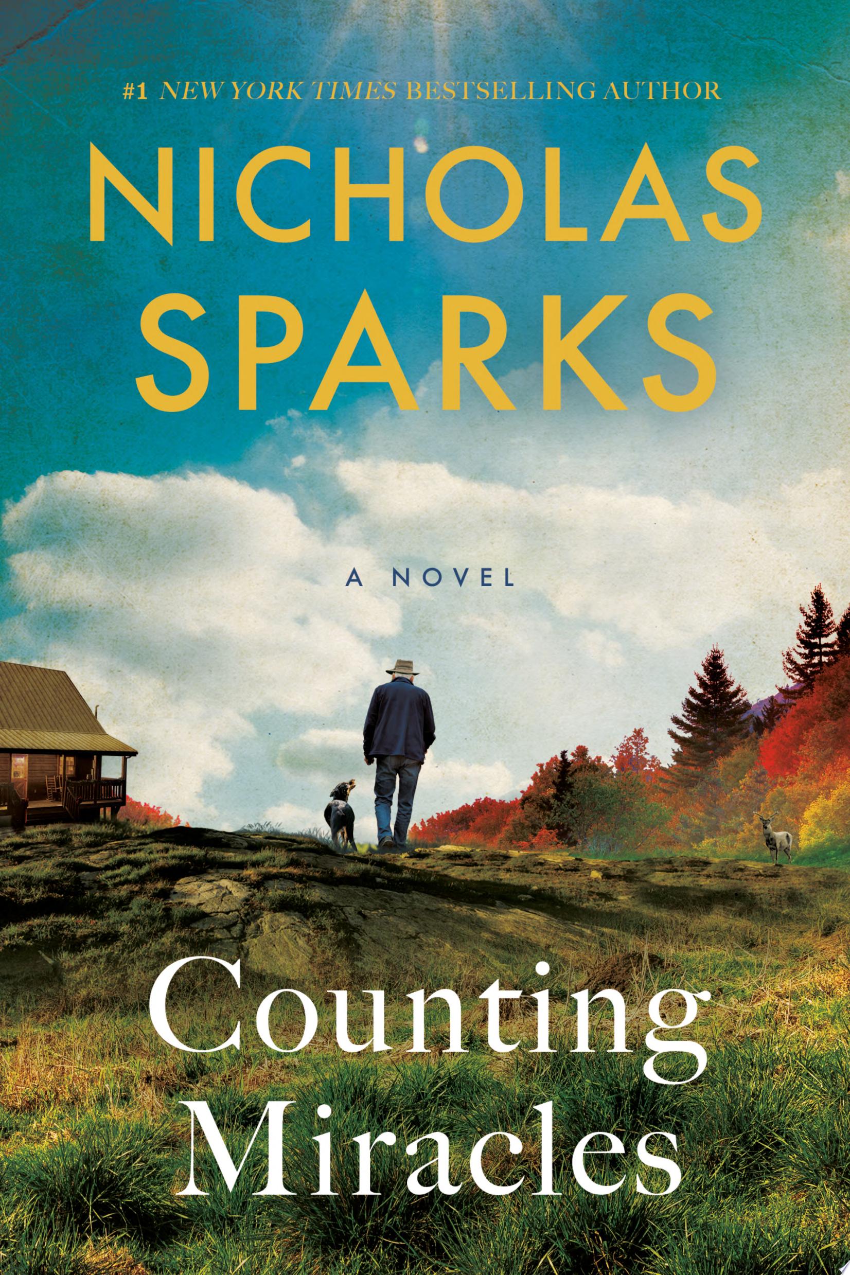 book cover for "Counting Miracles"