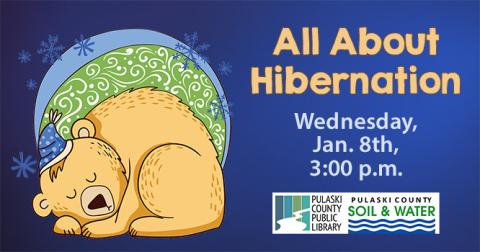 illustration of a bear sleeping