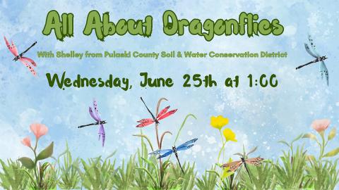 illustration of colorful dragonflies flying over grass and flowers