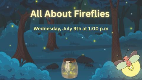 cute illustration of fireflies glowing in a forest and in a glass jar