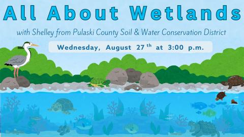 illustration of a wetland scene featuring turtles and a heron