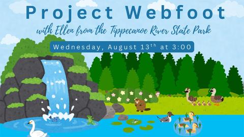 illustration of a wooded nature scene featuring, ducks, geese, beaver, and swan