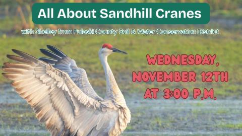a sandhill crane flapping its wings in a marshy field, with title, date, and time of event
