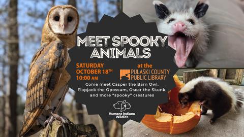 collage of a barn owl, opposum, and skunk, with text in the middle with title, date, and time of program and PCPL and Humane Indiana logos