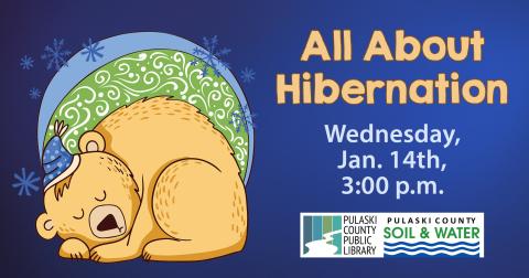 illustration of a bear sleeping with PCPL and Pulaski County Soil & Water Conservation District logos, and text: "All About Hibernation: Wednesday, Jan. 14th, 3:00 p.m."