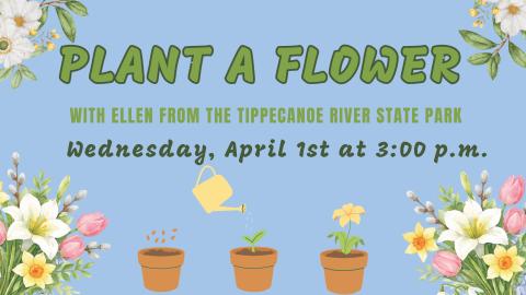 illustration showing three stages of a flower growing: bare pot, seedling, and in bloom