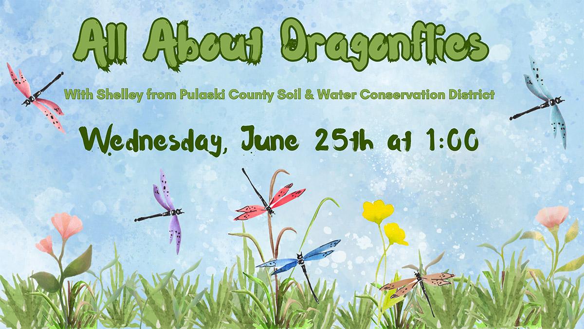 illustration of colorful dragonflies flying over grass and flowers