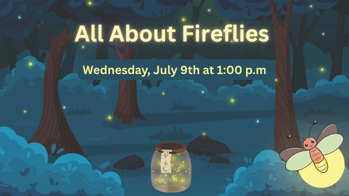 cute illustration of fireflies glowing in a forest and in a glass jar